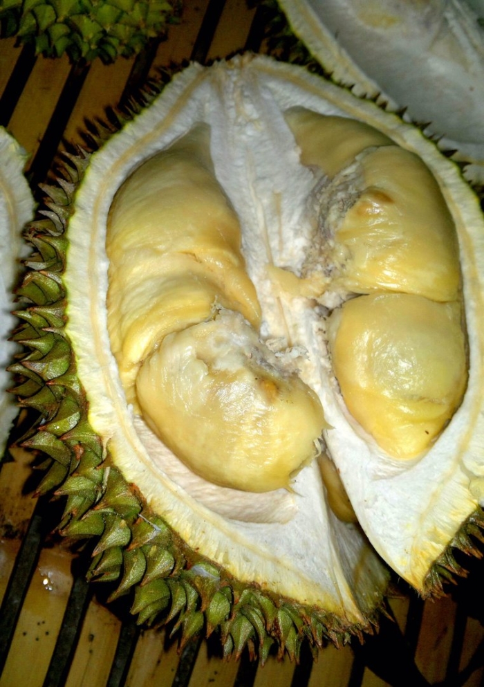 Дурьян фрукт