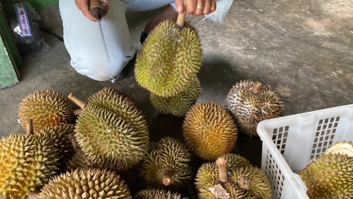 Вонючий фрукт из тайланда