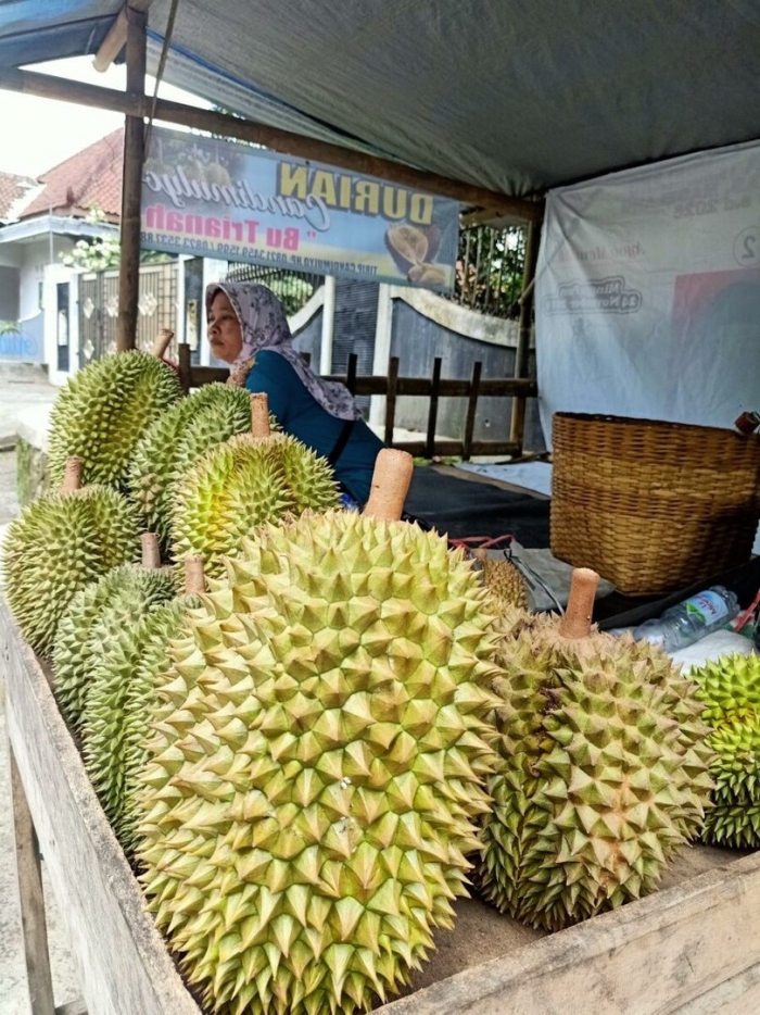 Король фруктов в таиланде дуриан