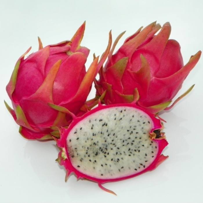 Питайя питахайя драгонфрут