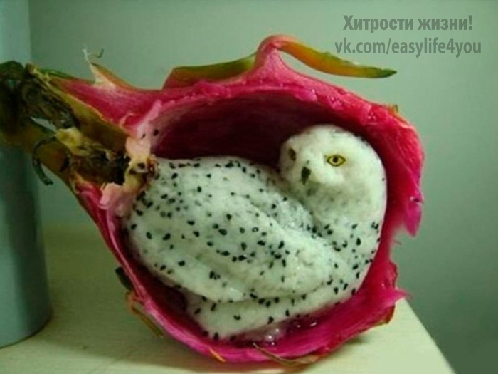 Животные из фруктов