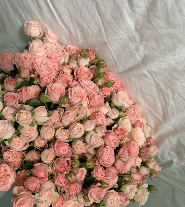 Кустовая пионовидная роза бомбастик