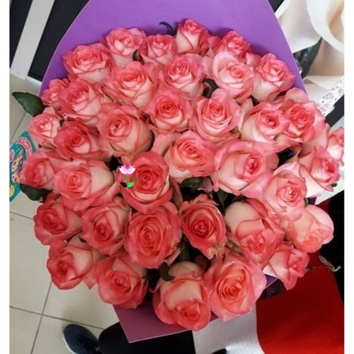 Роза джумилия