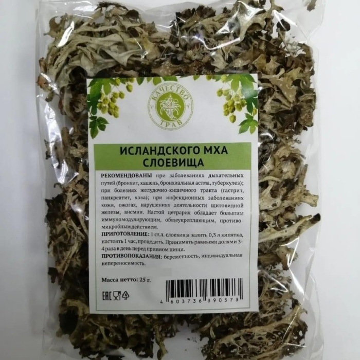 Исландский мох цетрария исландская