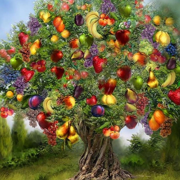 Яблоня с золотыми яблоками