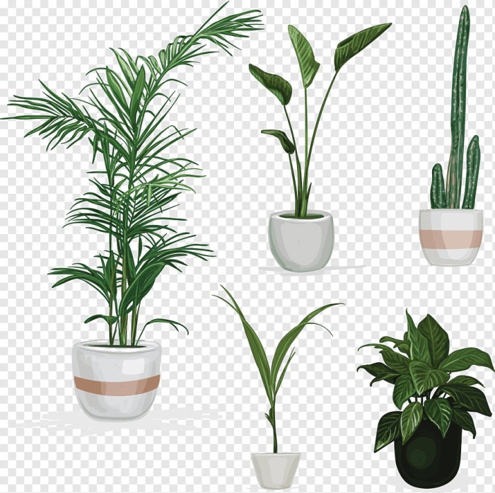 Цветок в горшке вектор