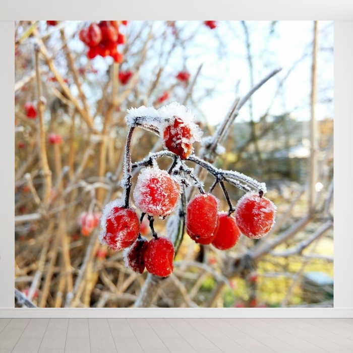 Ледяные ягоды