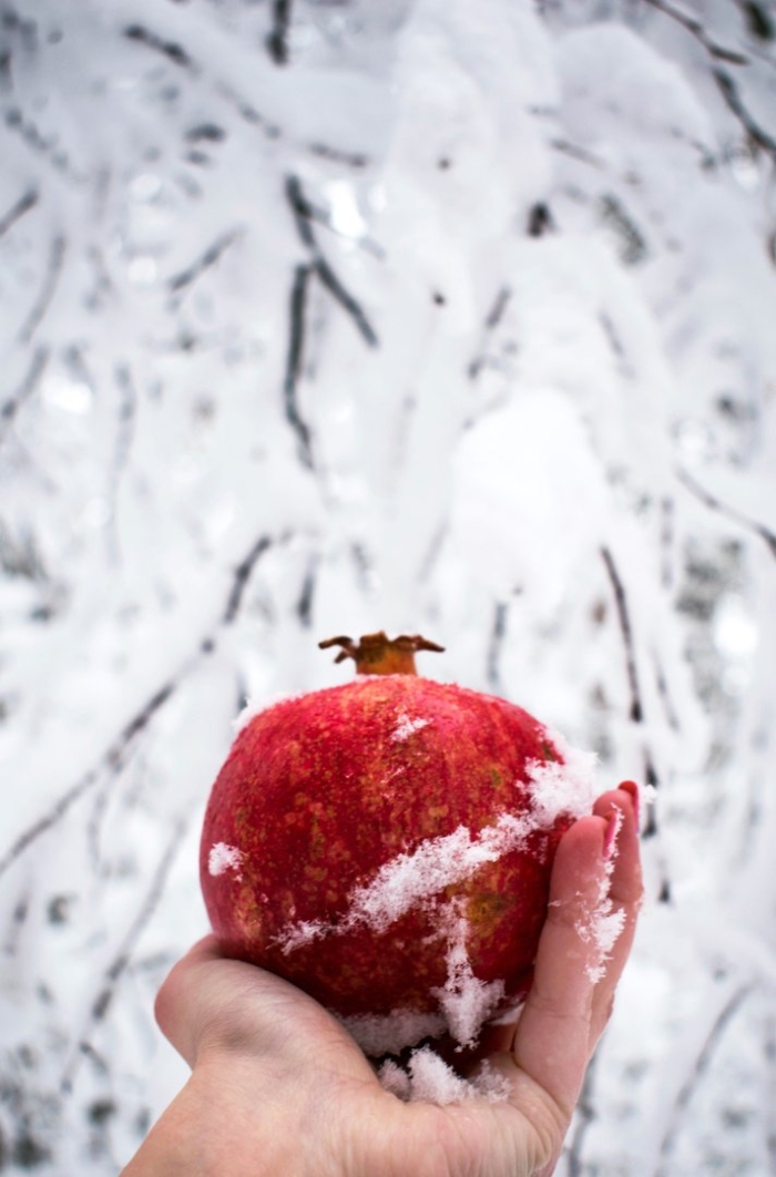 Фрукты на снегу
