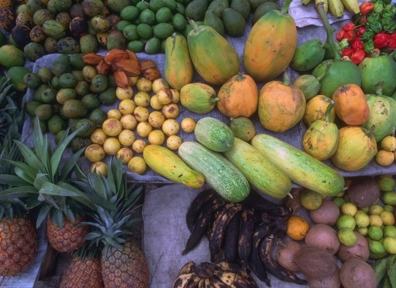 Сельское хозяйство Доминиканской Республики