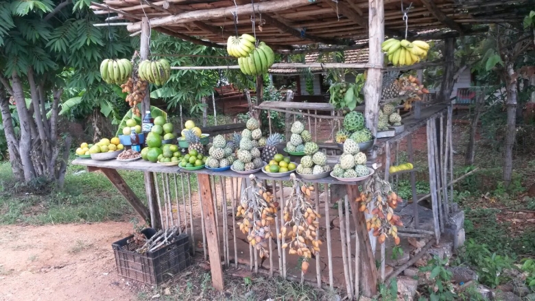 Фрукты кубы