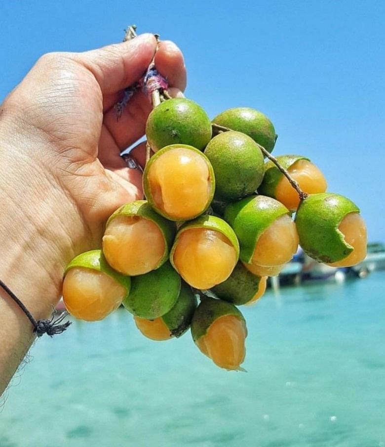 Экзотические фрукты Кубы