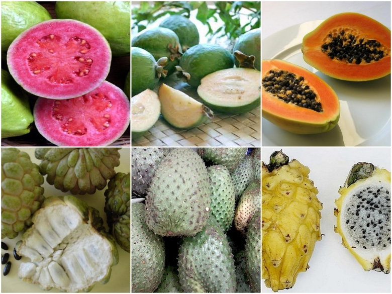 Тропический фрукт чиа