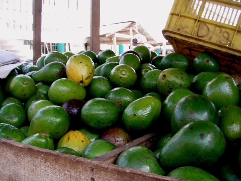 Гуава фрукт Доминикана