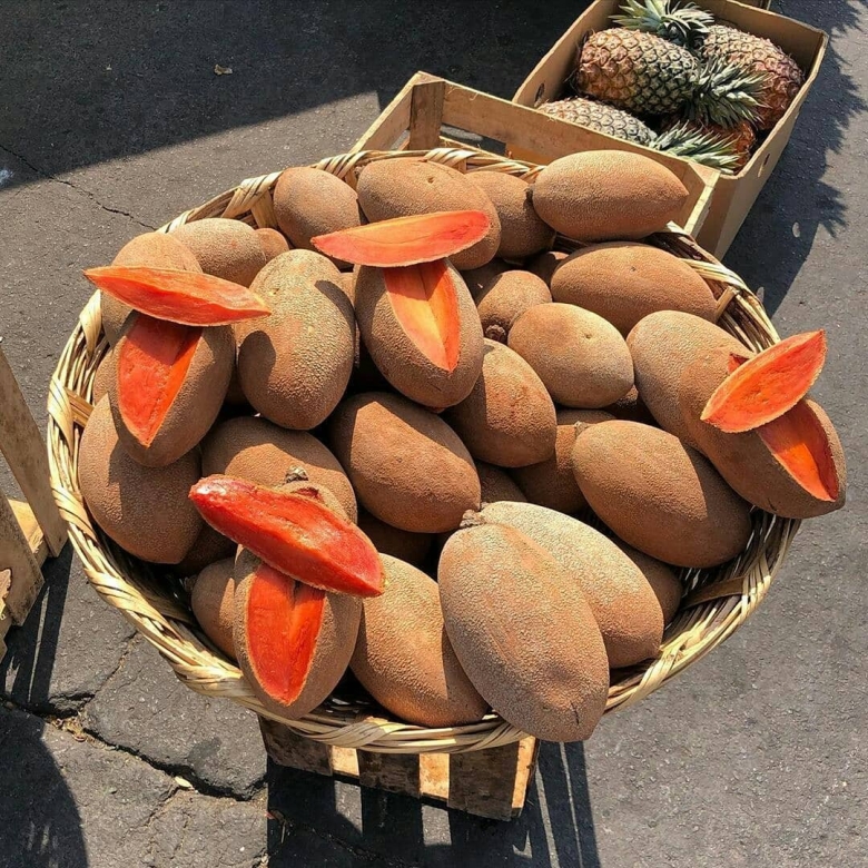 Сапоте фрукт Доминикана