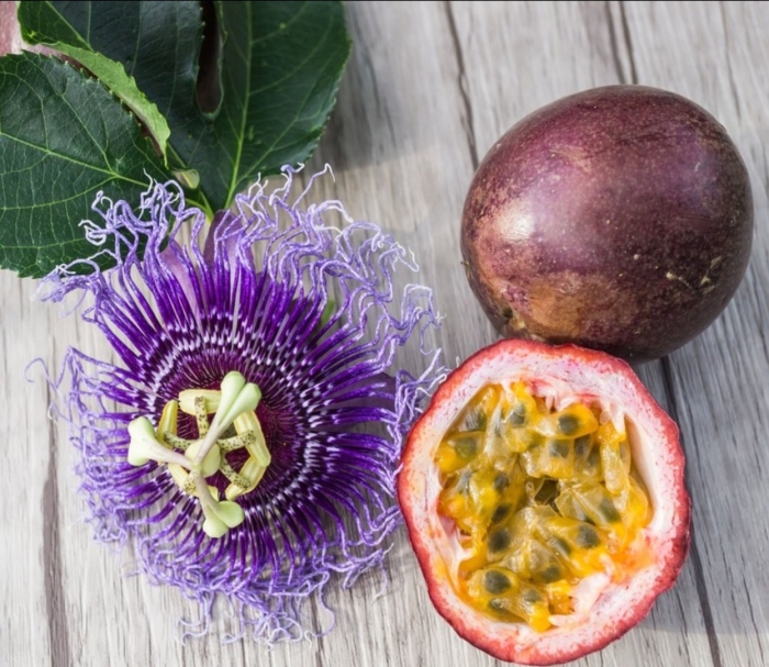 Маракуйя эдулис