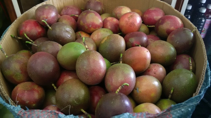 Passion fruit