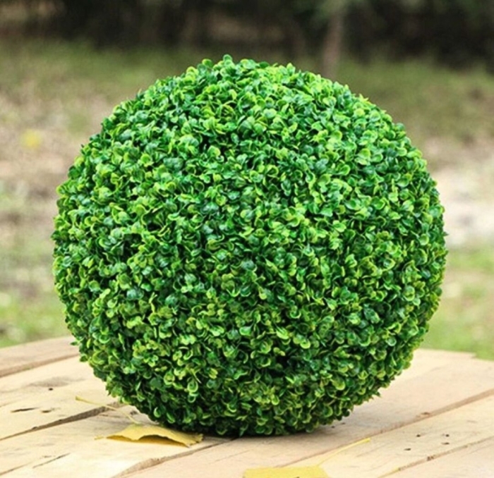 Самшит буксус шар