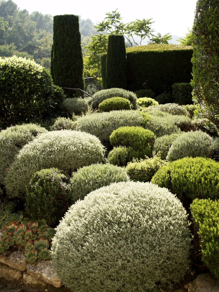 Кусты для ландшафтного дизайна