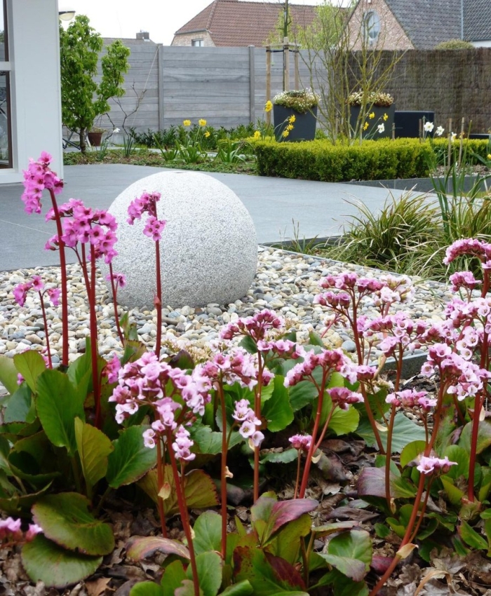 Проект альпийской горки с перечнем растений