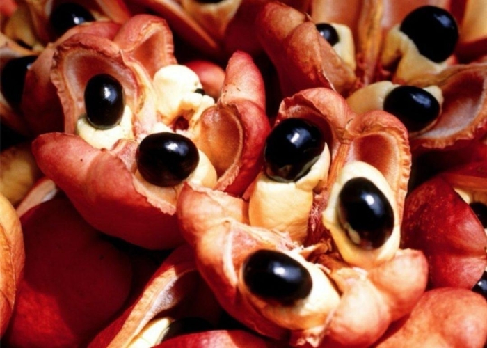 Фрукт ackee ямайка