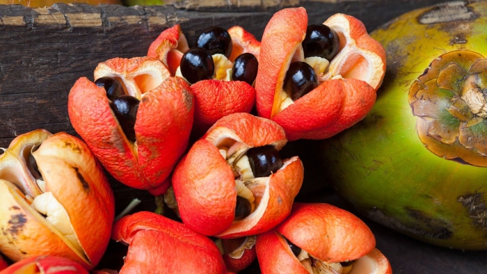 Рамбутан мангустин