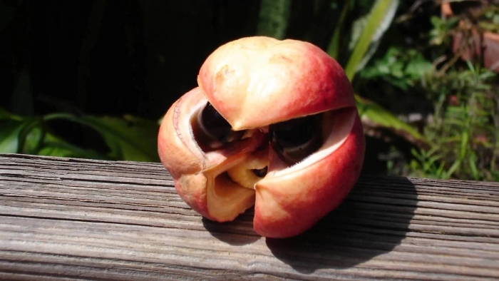 Экзотические фрукт