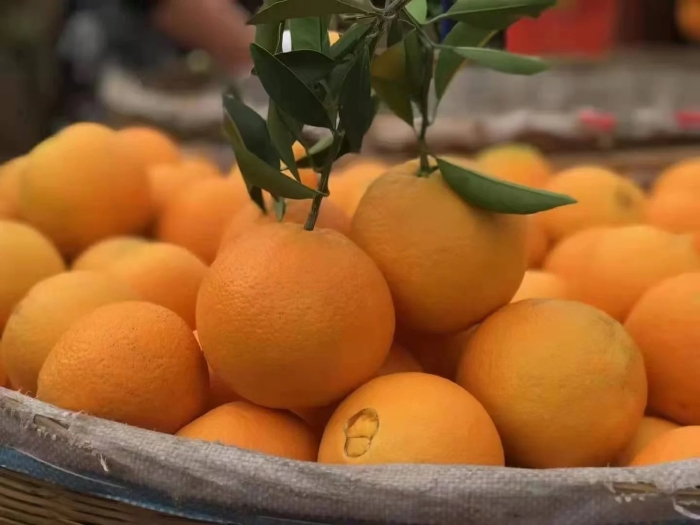 Фрукт апельсин