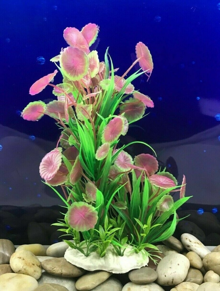Растения для аквариума живые
