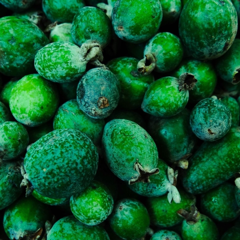 Зелёная ягода фейхоа