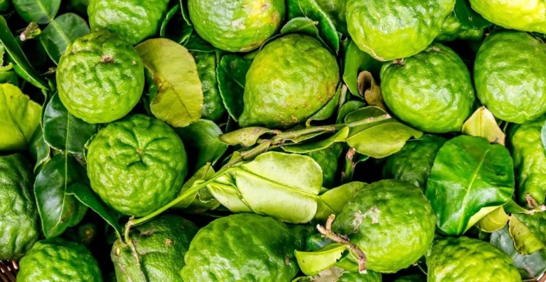 Бергамот цитрус