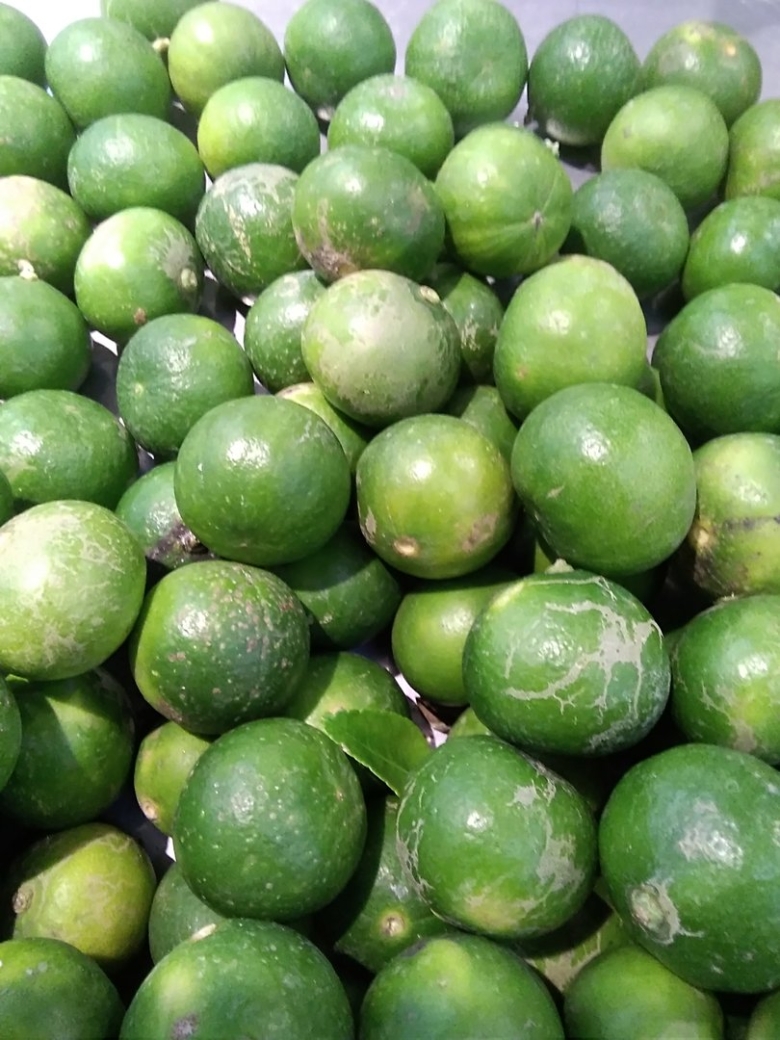 Зеленые фрукты