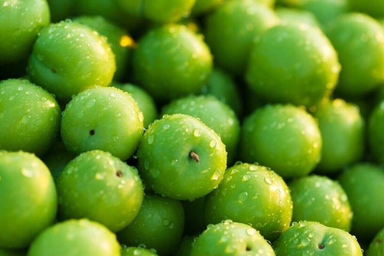 Зеленые сливы в Турции