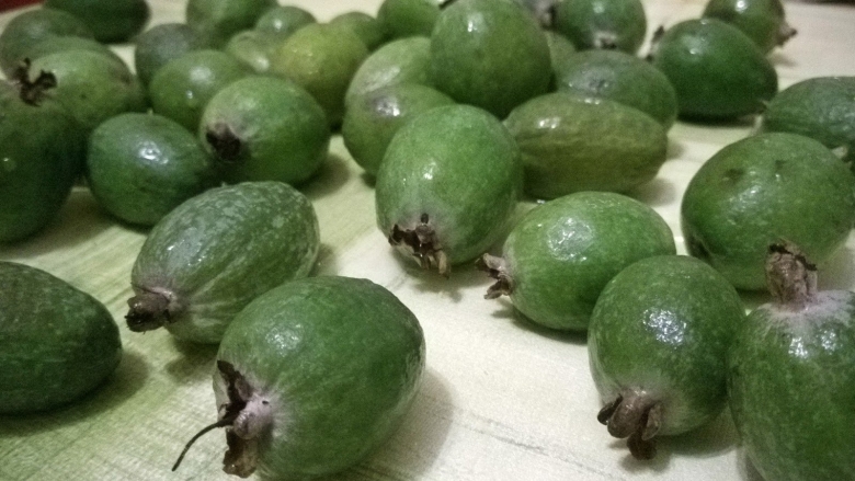 Зелёная ягода фейхоа