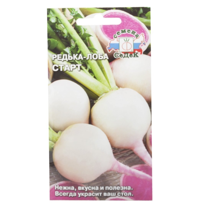 Редька лоба старт