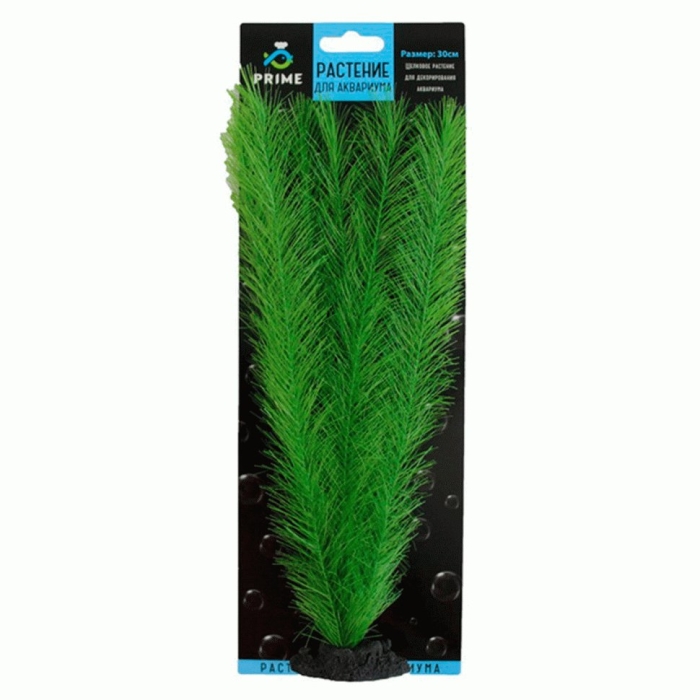 Растение для аквариума шелковое перистолистник