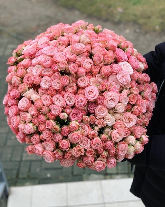 101 кустовая роза пионоивдные