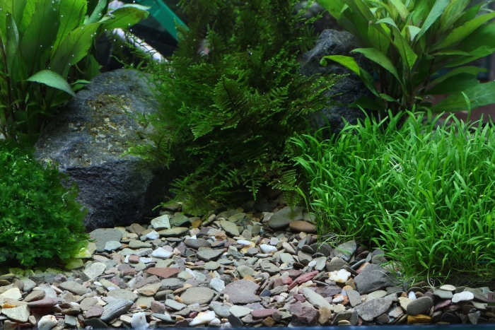 Грунт природный dennerle plantahunter rio xingu 2-22мм коричнево-серый