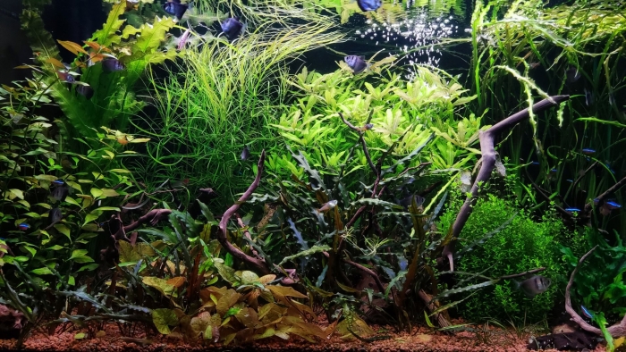 Аквариум травник 300 литров