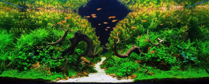 Акваскейп 2 острова