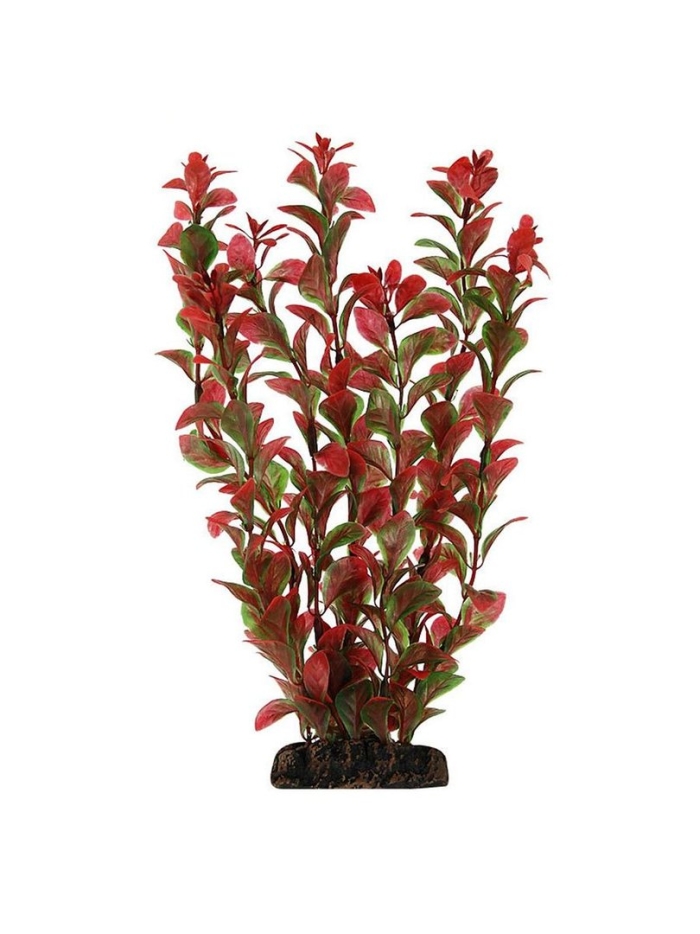 Растение для аквариума laguna людвигия