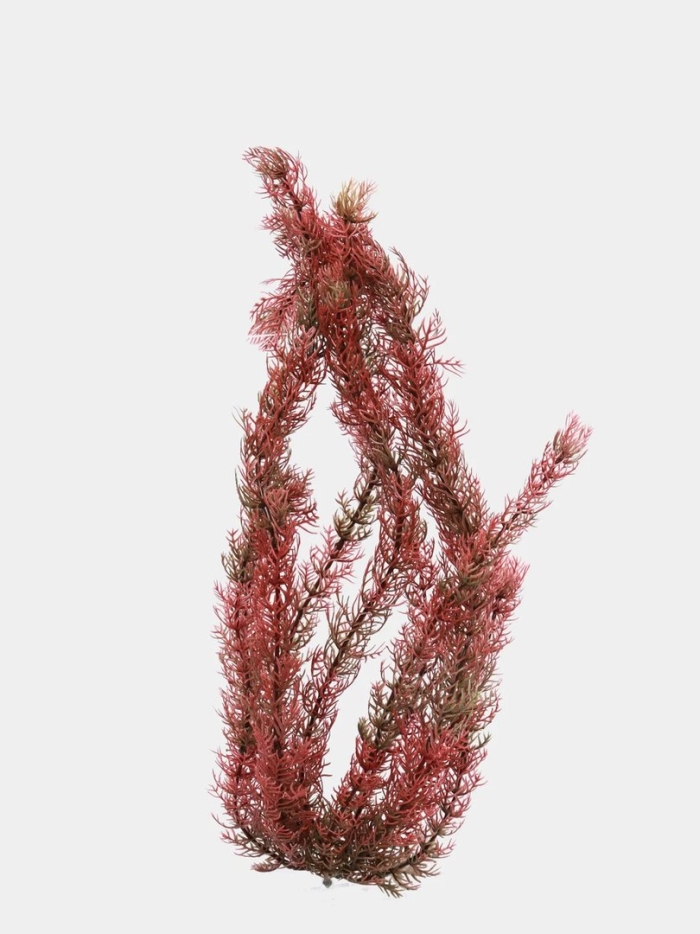 Роголистник коралловый пластиковое растение barbus plant 016