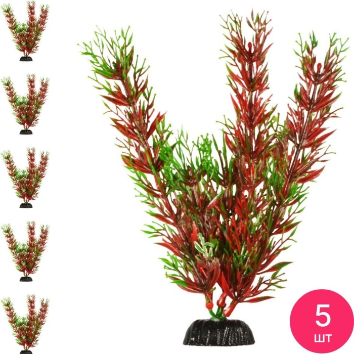 Растение для аквариума barbus