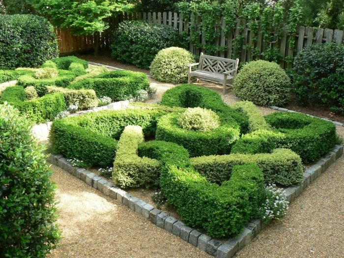 Самшит вечнозеленый миксбордер