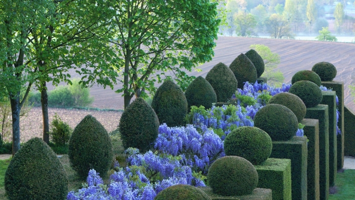 Боскет королевы версаль