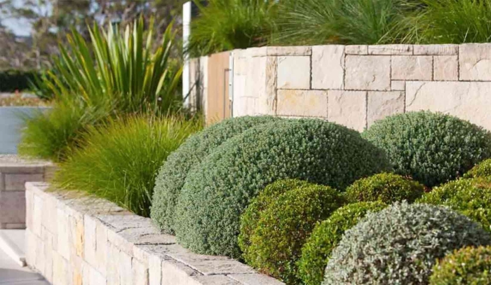 Backyard landscaping