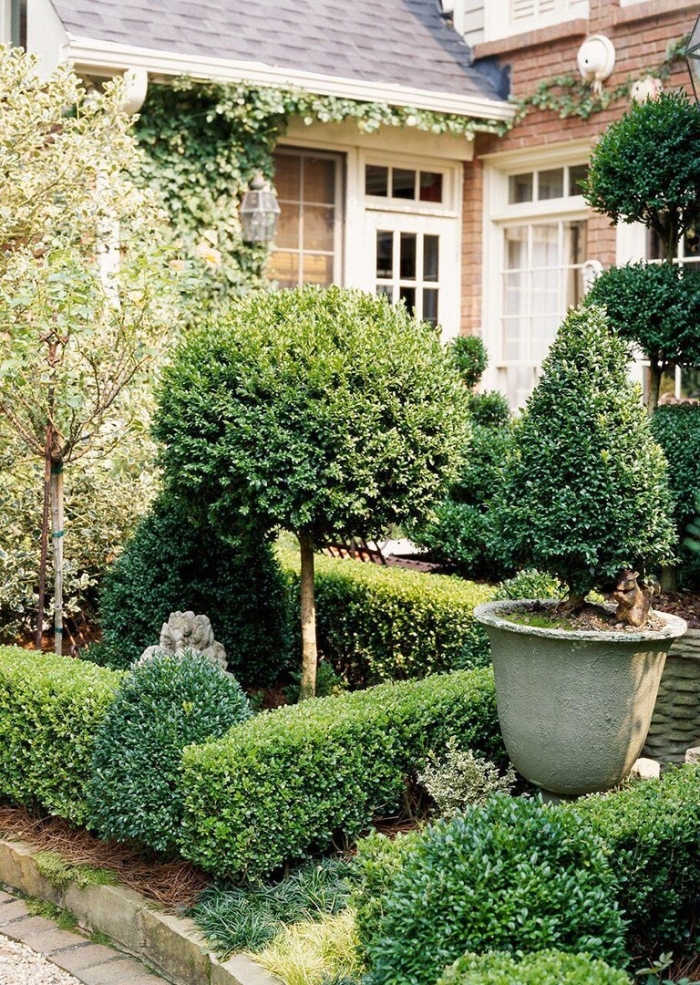 Landscaping ideas