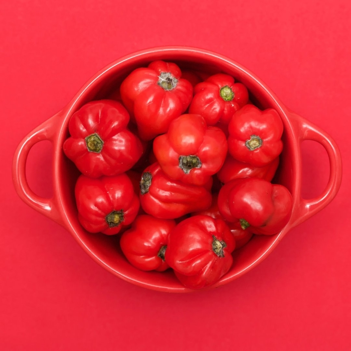 Сорт перца ратунда