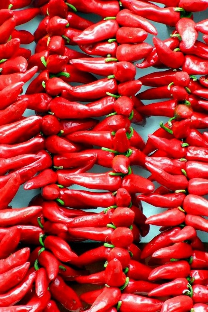 Острый перец чили