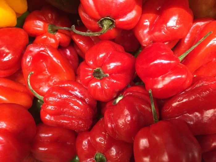 Перец болгарский паприка