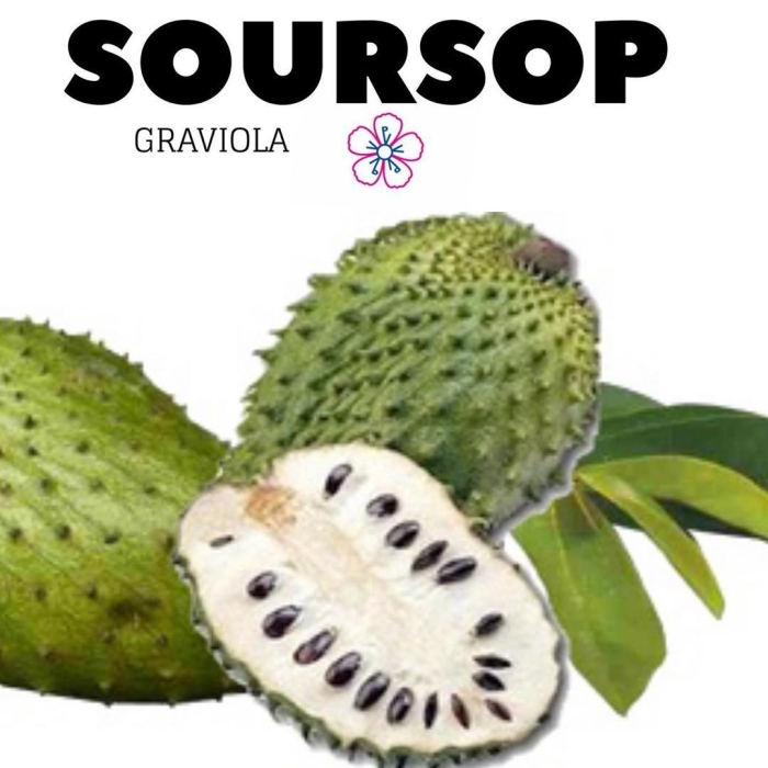 Гравиола гуанабана